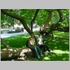 RoyalGarden004.jpg