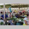 OpenMarket001.jpg