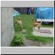 DSC00070.jpg