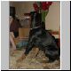 DSC00118.jpg